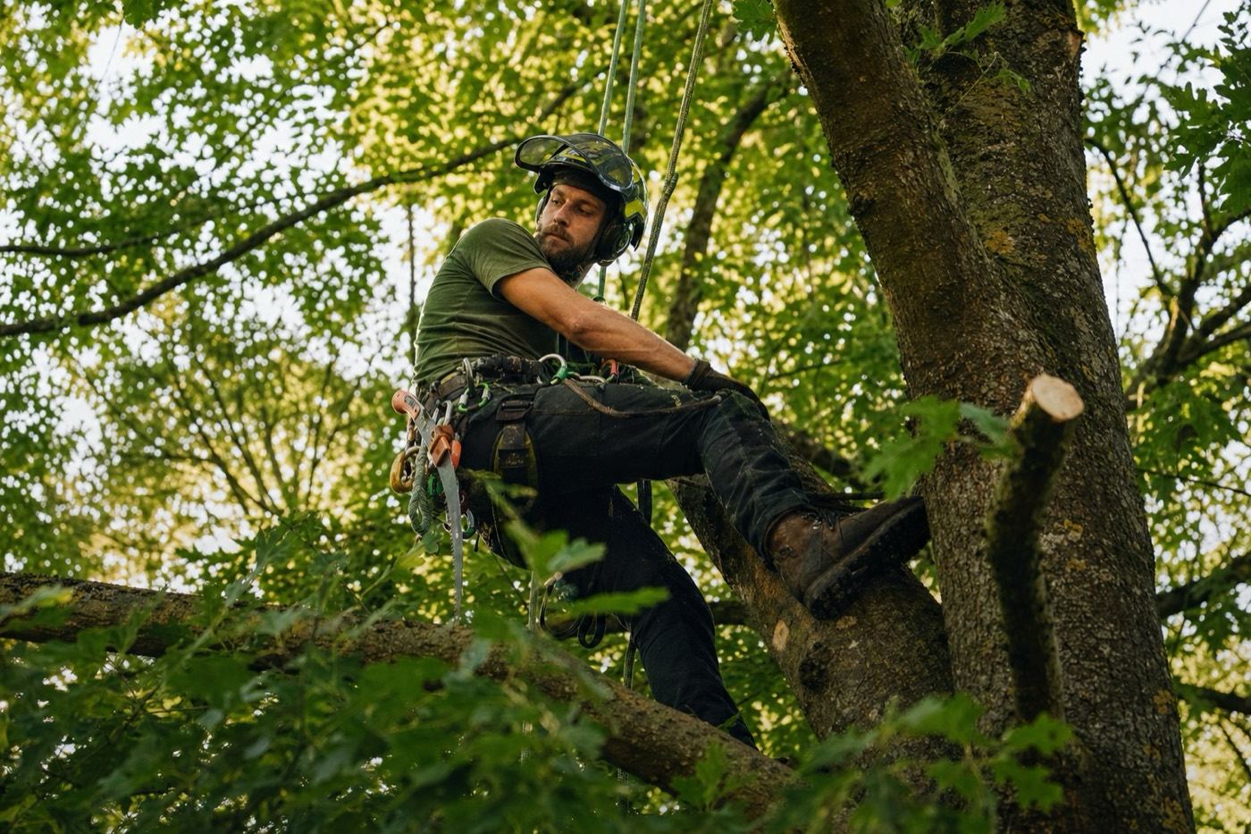 GreenCareers – Einblick 2